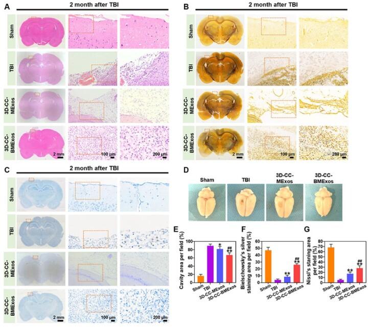 https://cdn.ncbi.nlm.nih.gov/pmc/blobs/c679/9847532/0b2ef8990fe8/rbac085f5.jpg