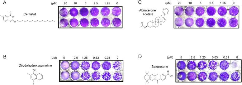 https://cdn.ncbi.nlm.nih.gov/pmc/blobs/c67c/7254006/9edb73dcf54f/gr3_lrg.jpg