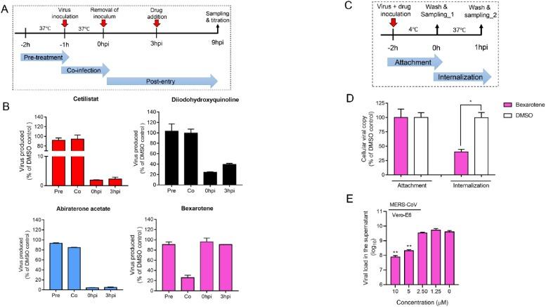 https://cdn.ncbi.nlm.nih.gov/pmc/blobs/c67c/7254006/c2d2bb4dd251/gr6_lrg.jpg
