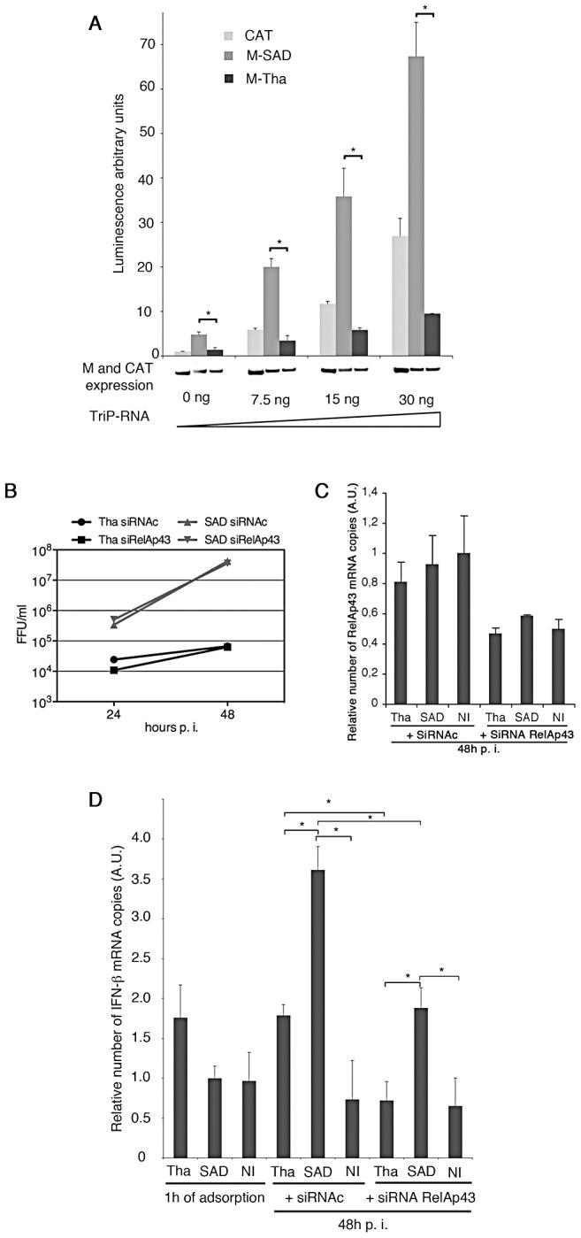 https://cdn.ncbi.nlm.nih.gov/pmc/blobs/c67f/3521698/1b4fbc161eb3/ppat.1003060.g006.jpg