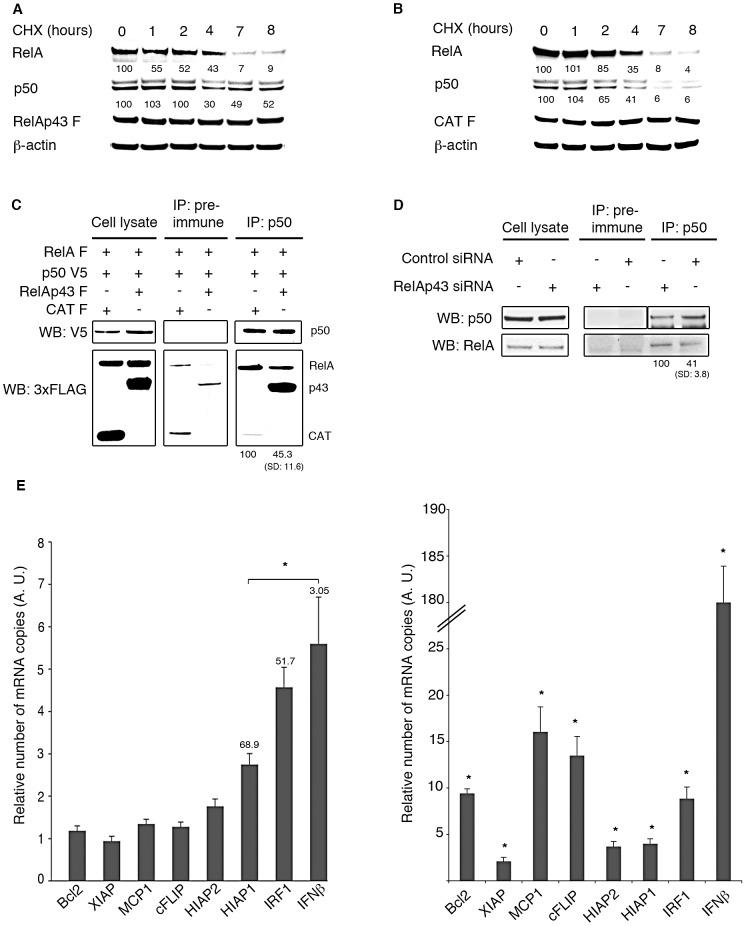 https://cdn.ncbi.nlm.nih.gov/pmc/blobs/c67f/3521698/ae5474353efc/ppat.1003060.g004.jpg