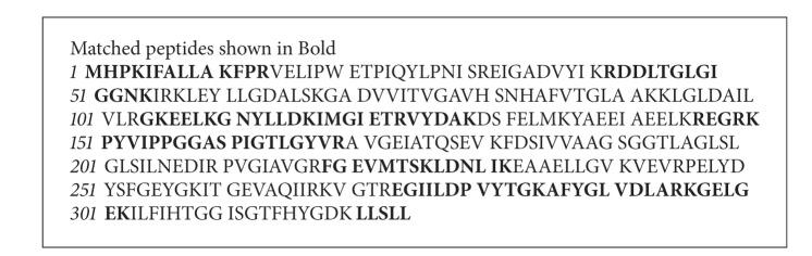 https://cdn.ncbi.nlm.nih.gov/pmc/blobs/c680/3925513/3feaff7c1ec0/BMRI2014-179836.005.jpg