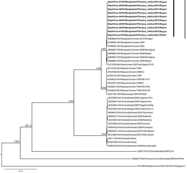 https://cdn.ncbi.nlm.nih.gov/pmc/blobs/c680/6302578/59e2b301a4a3/18-0267-F2.jpg