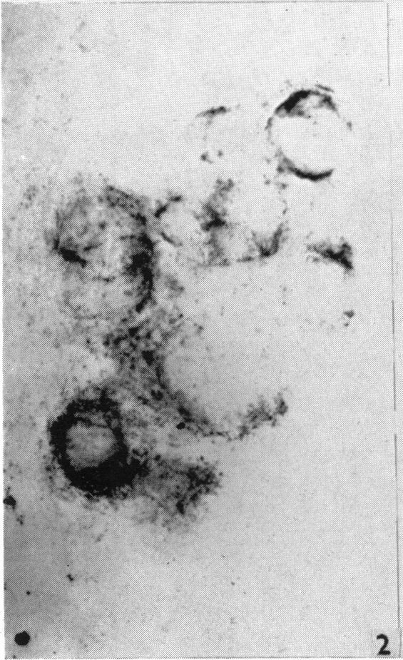 https://cdn.ncbi.nlm.nih.gov/pmc/blobs/c681/1359194/cb4497ce4bbc/jphysiol01369-0235-b.jpg