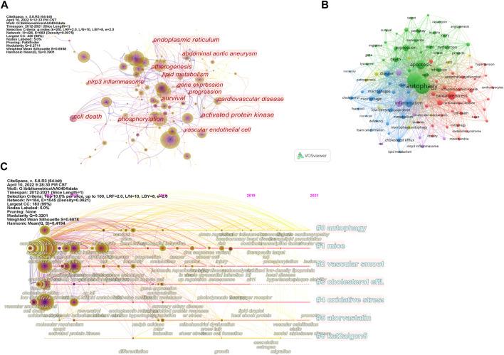 https://cdn.ncbi.nlm.nih.gov/pmc/blobs/c682/9520361/cfff42df8a4b/fphar-13-977870-g005.jpg