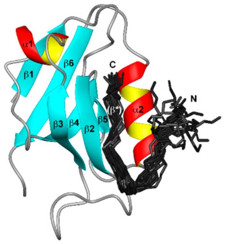 https://cdn.ncbi.nlm.nih.gov/pmc/blobs/c683/5217368/8caa85d805c6/proteomes-04-00003-g003.jpg