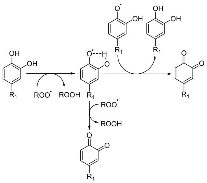 https://cdn.ncbi.nlm.nih.gov/pmc/blobs/c683/9776363/03d0da6a4245/biomedicines-10-03051-g005.jpg