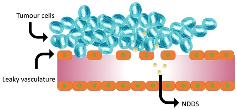 https://cdn.ncbi.nlm.nih.gov/pmc/blobs/c683/9776363/78d3f5d671f3/biomedicines-10-03051-g013.jpg