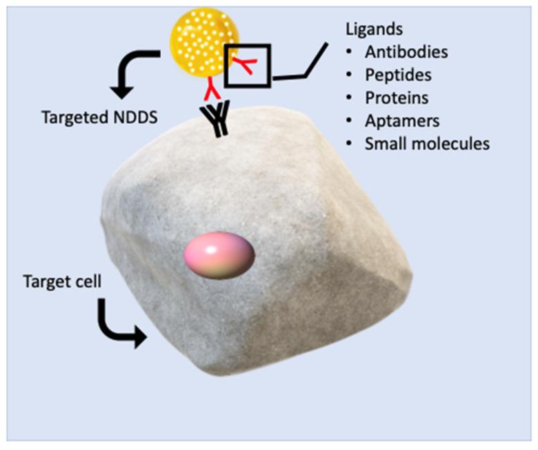 https://cdn.ncbi.nlm.nih.gov/pmc/blobs/c683/9776363/83f617efc50e/biomedicines-10-03051-g014.jpg