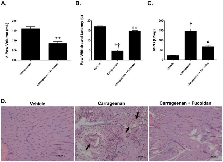 https://cdn.ncbi.nlm.nih.gov/pmc/blobs/c684/3555820/29cc03f66f14/pone.0055255.g001.jpg
