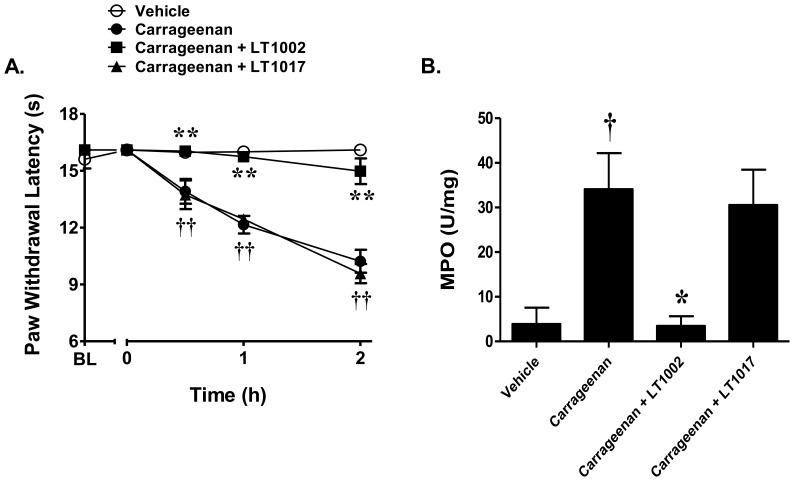 https://cdn.ncbi.nlm.nih.gov/pmc/blobs/c684/3555820/3c6566f2ccf1/pone.0055255.g003.jpg