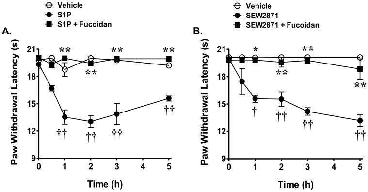 https://cdn.ncbi.nlm.nih.gov/pmc/blobs/c684/3555820/b28d41ea30d8/pone.0055255.g005.jpg