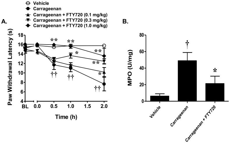 https://cdn.ncbi.nlm.nih.gov/pmc/blobs/c684/3555820/e5658af15544/pone.0055255.g006.jpg