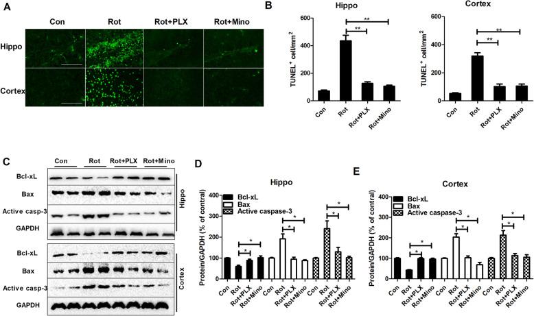 https://cdn.ncbi.nlm.nih.gov/pmc/blobs/c684/7786472/971e00ce787d/12974_2020_2065_Fig8_HTML.jpg