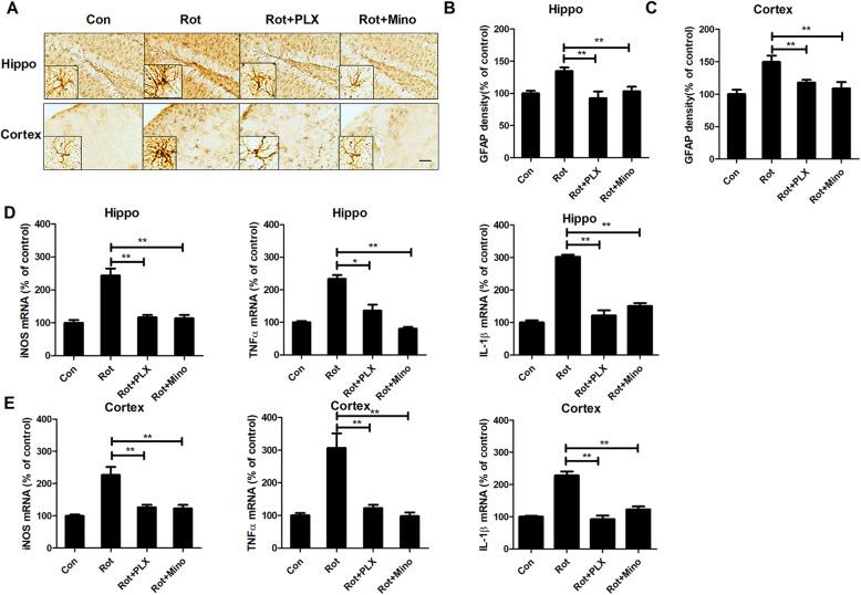 https://cdn.ncbi.nlm.nih.gov/pmc/blobs/c684/7786472/e0baac41a185/12974_2020_2065_Fig6_HTML.jpg