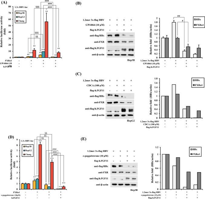 https://cdn.ncbi.nlm.nih.gov/pmc/blobs/c686/10477102/516bdda8c210/12275_2023_65_Fig3_HTML.jpg