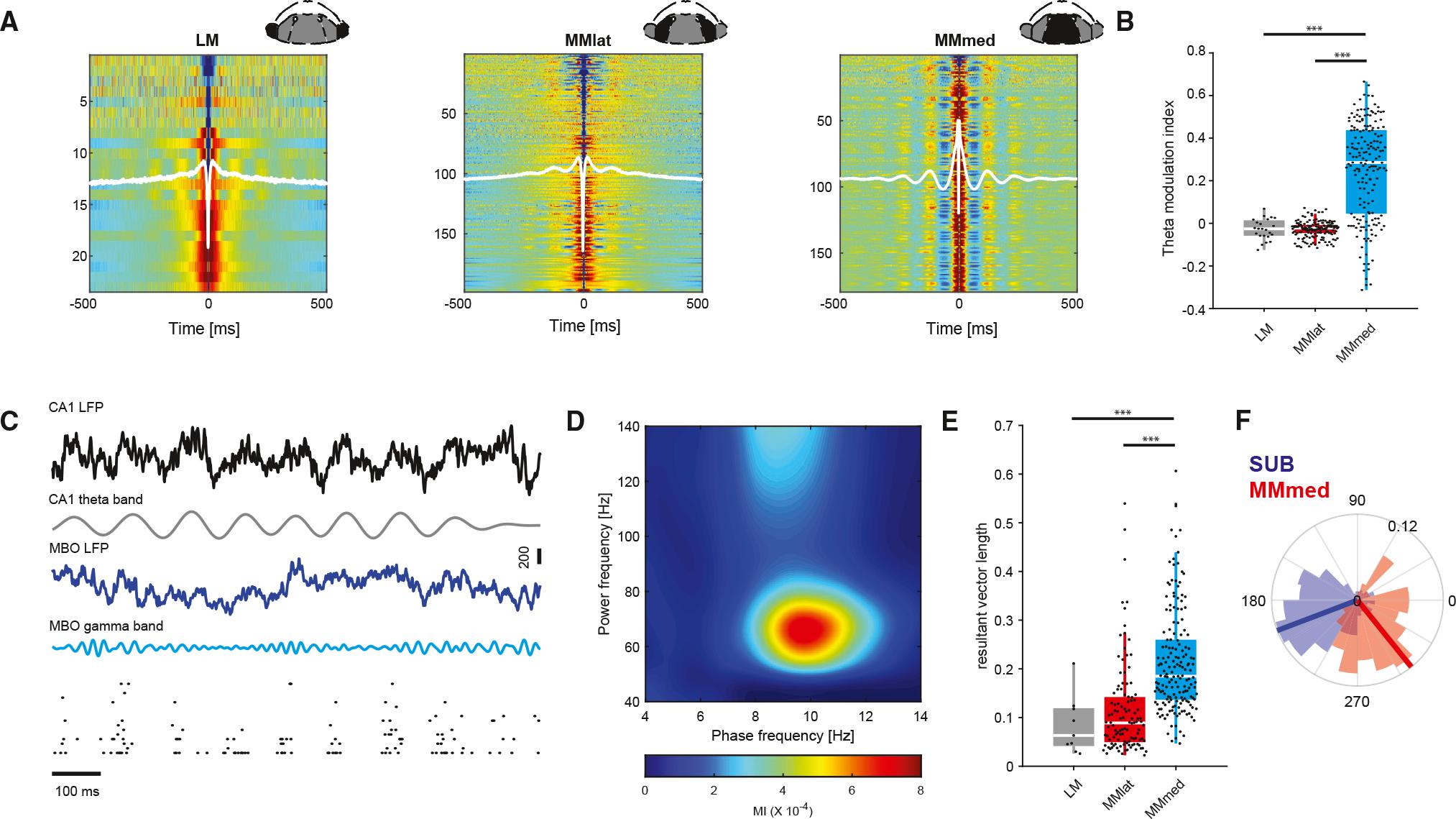 https://cdn.ncbi.nlm.nih.gov/pmc/blobs/c687/11475818/e937c7983ade/nihms-2019519-f0003.jpg