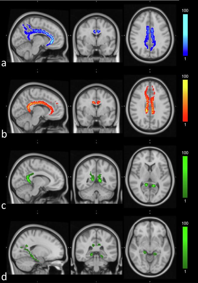 https://cdn.ncbi.nlm.nih.gov/pmc/blobs/c687/11923340/76906a484abc/41747_2025_570_Fig2_HTML.jpg