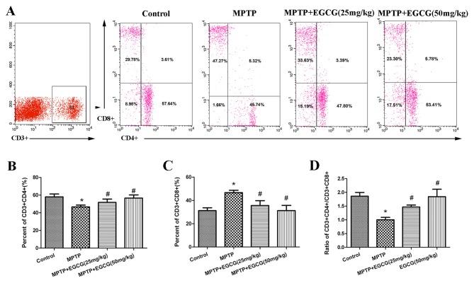 https://cdn.ncbi.nlm.nih.gov/pmc/blobs/c688/5865947/fdd73876a1be/MMR-17-04-4883-g03.jpg