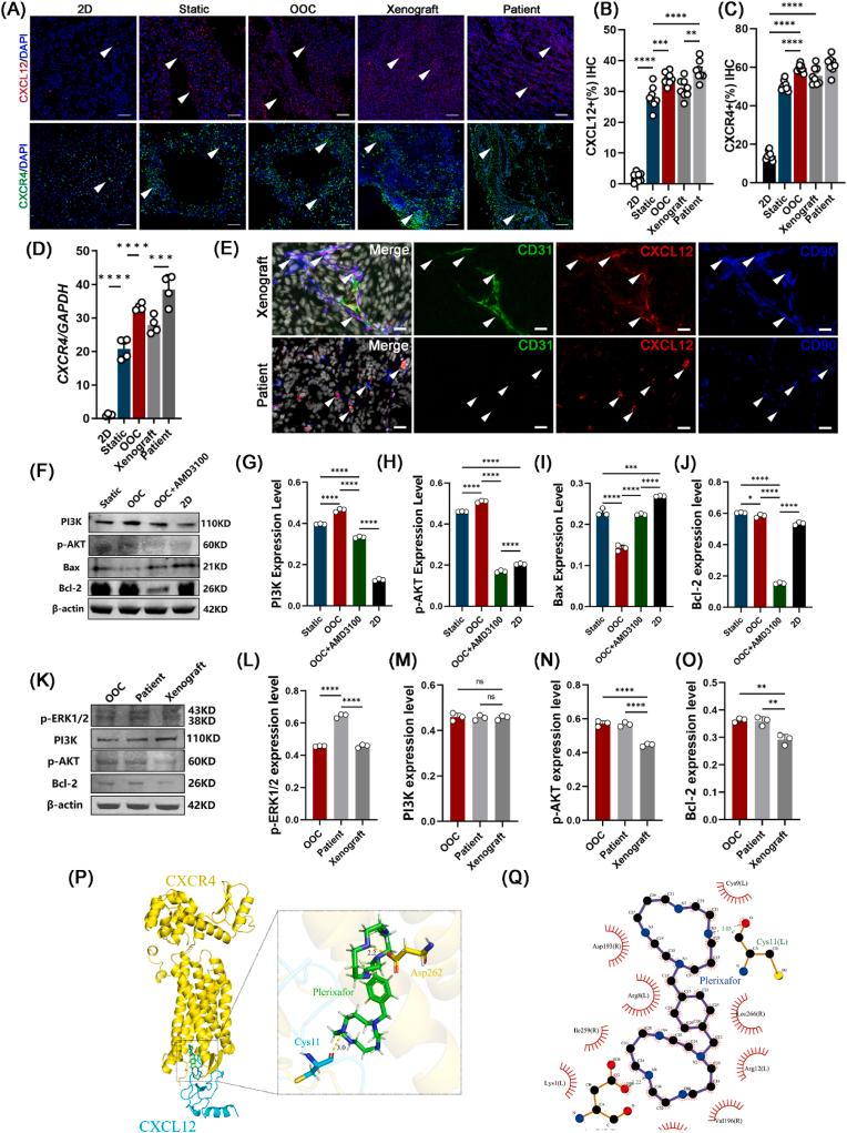 https://cdn.ncbi.nlm.nih.gov/pmc/blobs/c68e/10761322/5c87f478e904/gr5.jpg