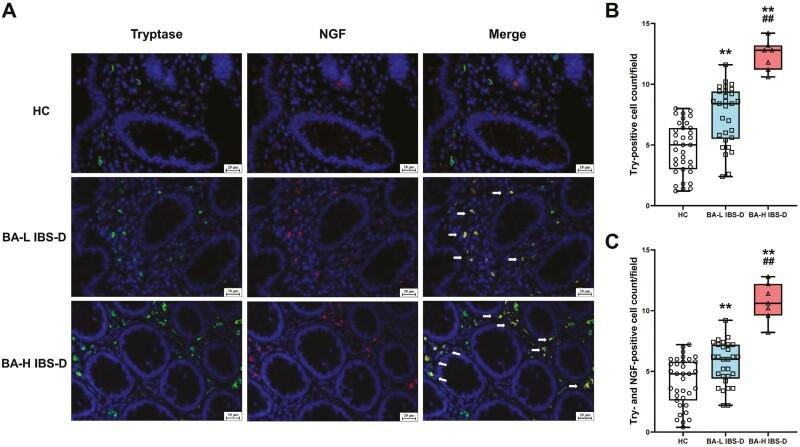 https://cdn.ncbi.nlm.nih.gov/pmc/blobs/c68e/11036107/aedeb55d0b88/uxae006_fig6.jpg