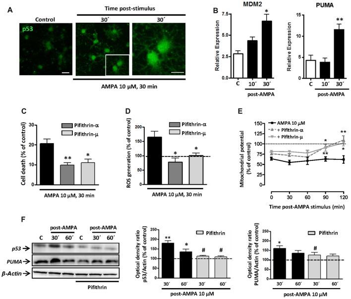 https://cdn.ncbi.nlm.nih.gov/pmc/blobs/c691/6146035/16503099690c/fnmol-11-00333-g0006.jpg