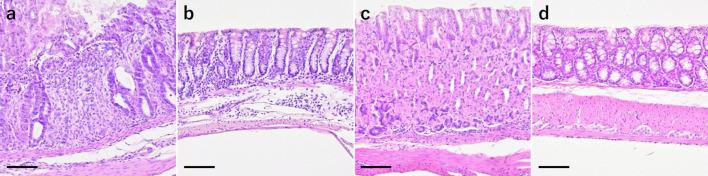 https://cdn.ncbi.nlm.nih.gov/pmc/blobs/c692/8267199/746d0d5c17eb/jvms-83-935-g001.jpg