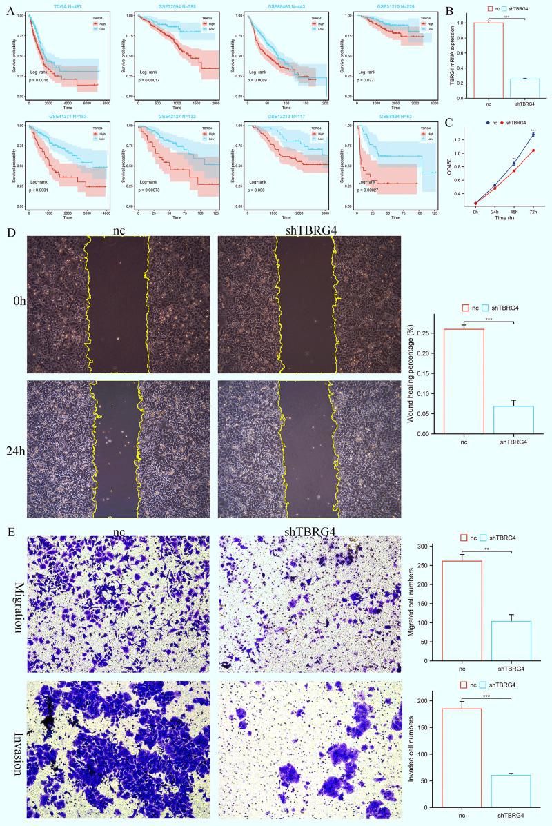 https://cdn.ncbi.nlm.nih.gov/pmc/blobs/c697/12343544/27bf1407718b/fimmu-16-1595408-g008.jpg