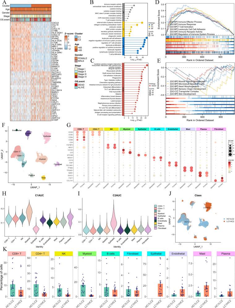 https://cdn.ncbi.nlm.nih.gov/pmc/blobs/c697/12343544/76ffcff60bbe/fimmu-16-1595408-g004.jpg