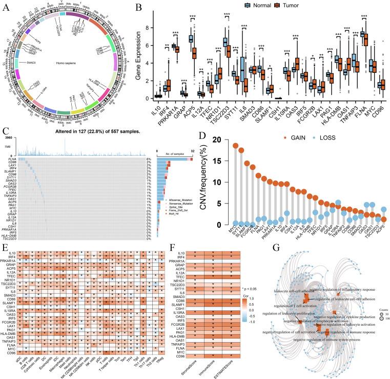 https://cdn.ncbi.nlm.nih.gov/pmc/blobs/c697/12343544/9894dc79c575/fimmu-16-1595408-g001.jpg