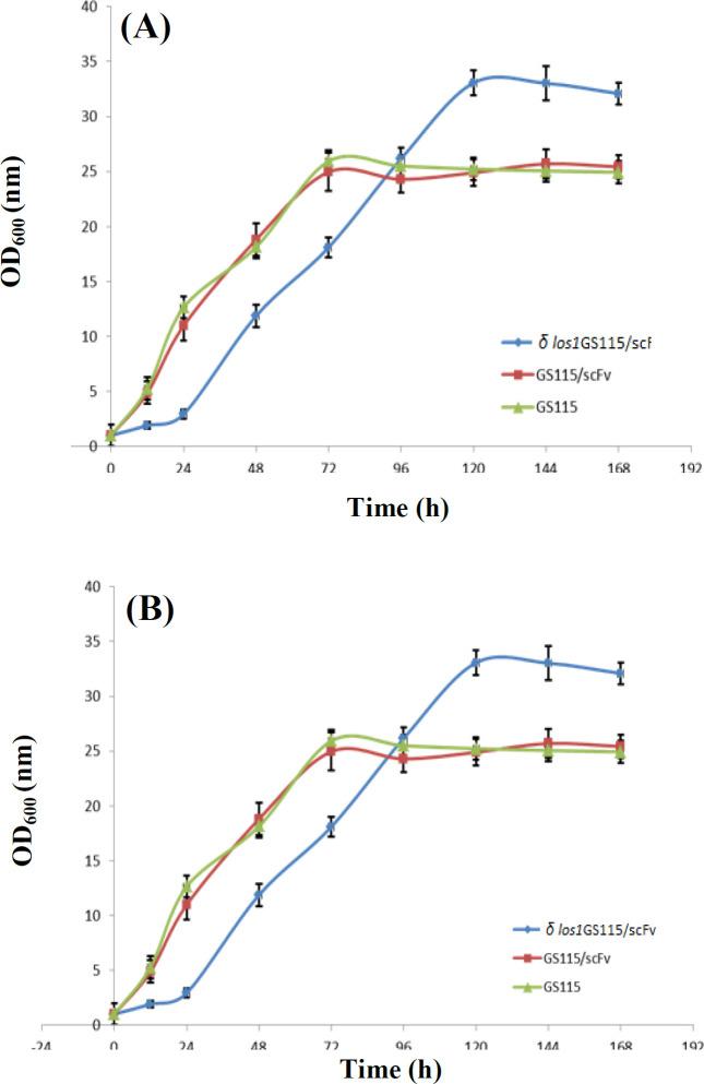 https://cdn.ncbi.nlm.nih.gov/pmc/blobs/c69a/8334395/6b09777582be/ibj-25-255-g003.jpg