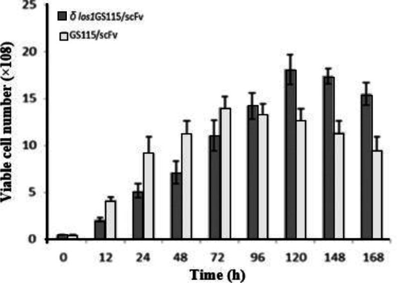 https://cdn.ncbi.nlm.nih.gov/pmc/blobs/c69a/8334395/e7660aff9785/ibj-25-255-g004.jpg
