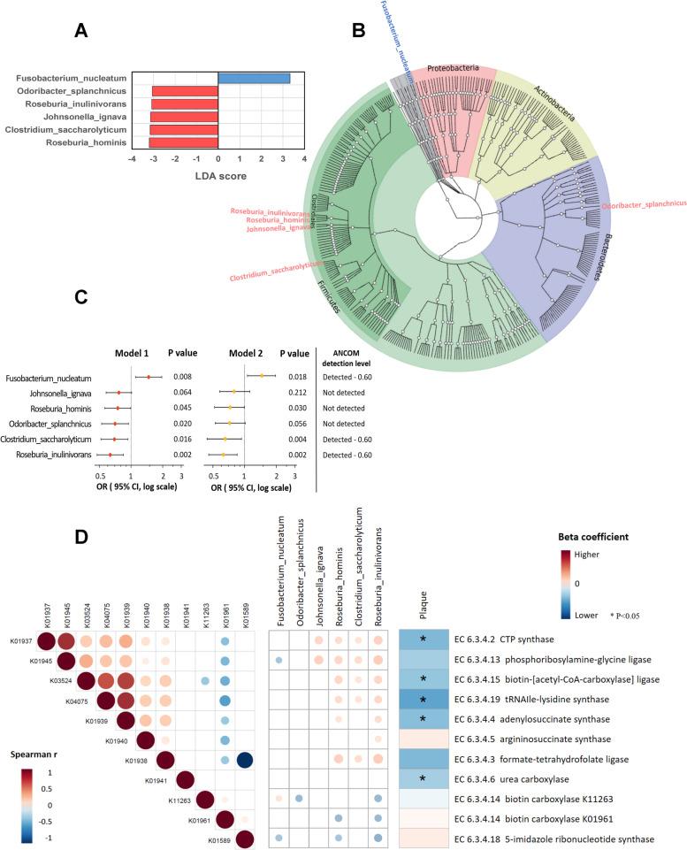 https://cdn.ncbi.nlm.nih.gov/pmc/blobs/c69b/10224225/2117e9924851/40168_2023_1566_Fig1_HTML.jpg