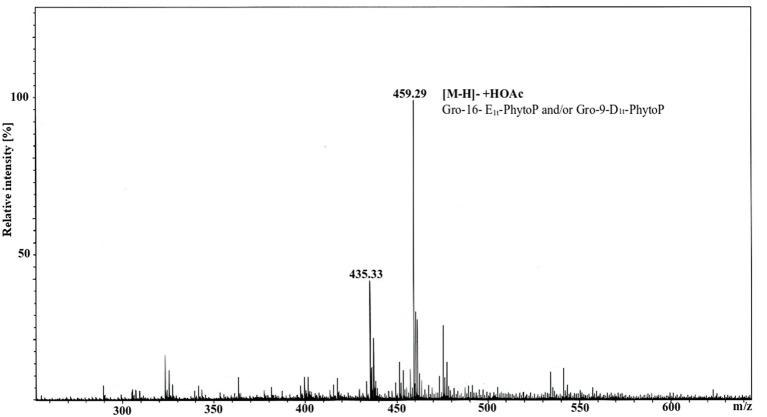 https://cdn.ncbi.nlm.nih.gov/pmc/blobs/c69b/6514527/fa61950aecb2/fimmu-10-00974-g0002.jpg