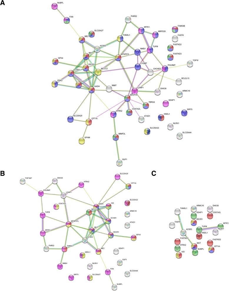 https://cdn.ncbi.nlm.nih.gov/pmc/blobs/c69d/6391778/c7399085fe83/12862_2019_1371_Fig6_HTML.jpg