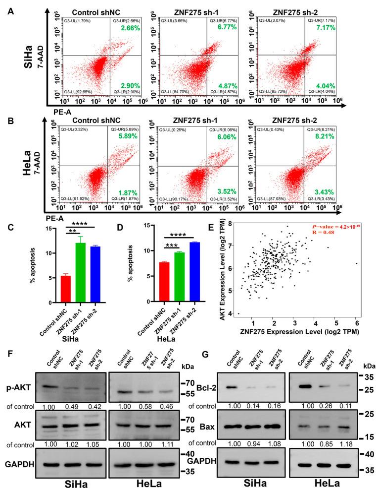 https://cdn.ncbi.nlm.nih.gov/pmc/blobs/c69e/10705782/23938f7c8b15/cancers-15-05625-g003.jpg