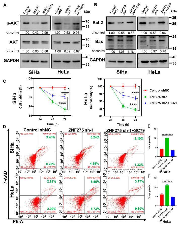https://cdn.ncbi.nlm.nih.gov/pmc/blobs/c69e/10705782/f103a25c0c91/cancers-15-05625-g004.jpg