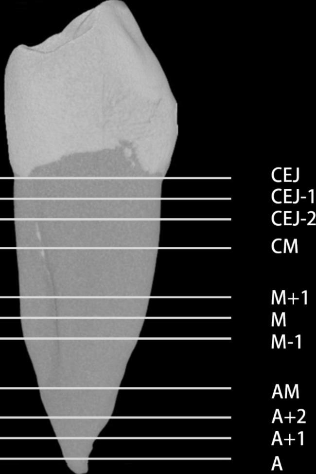 https://cdn.ncbi.nlm.nih.gov/pmc/blobs/c69f/10544188/cb95cb84aaf9/12903_2023_3271_Fig1_HTML.jpg