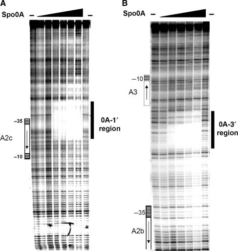 https://cdn.ncbi.nlm.nih.gov/pmc/blobs/c69f/2731898/267969518be8/gkp504f3.jpg