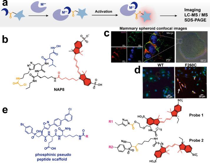 https://cdn.ncbi.nlm.nih.gov/pmc/blobs/c6a0/11672145/754ba785aa96/au4c00879_0005.jpg
