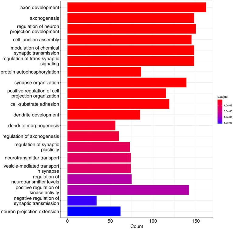 https://cdn.ncbi.nlm.nih.gov/pmc/blobs/c6a3/11920162/0733aff7dc57/fmicb-16-1522550-g004.jpg