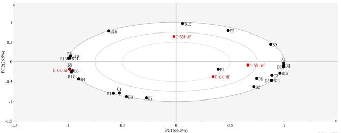 https://cdn.ncbi.nlm.nih.gov/pmc/blobs/c6a3/12012932/3f218620d963/12934_2025_2669_Fig2_HTML.jpg