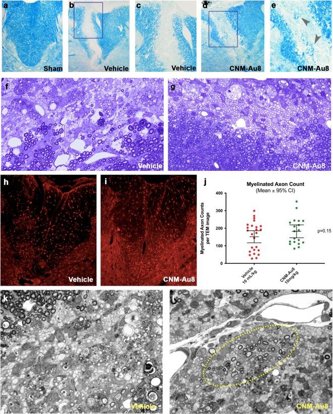 https://cdn.ncbi.nlm.nih.gov/pmc/blobs/c6a6/7010780/6a6cb33085a4/41598_2020_58709_Fig5_HTML.jpg