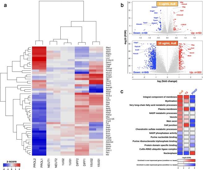https://cdn.ncbi.nlm.nih.gov/pmc/blobs/c6a6/7010780/7f19ebb67da0/41598_2020_58709_Fig7_HTML.jpg
