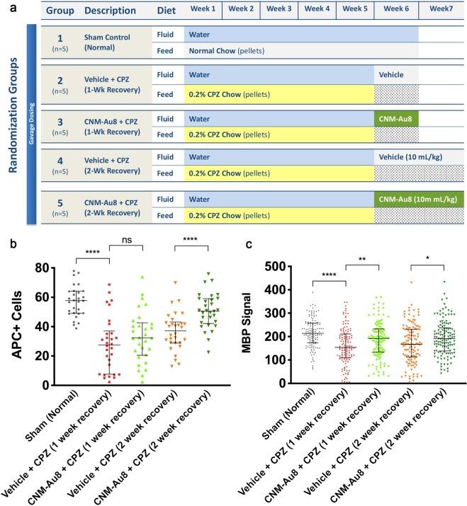 https://cdn.ncbi.nlm.nih.gov/pmc/blobs/c6a6/7010780/daf9e04b7d75/41598_2020_58709_Fig3_HTML.jpg