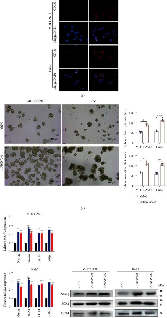 https://cdn.ncbi.nlm.nih.gov/pmc/blobs/c6a6/9492413/e62d8eaac7d5/SCI2022-3242482.002.jpg