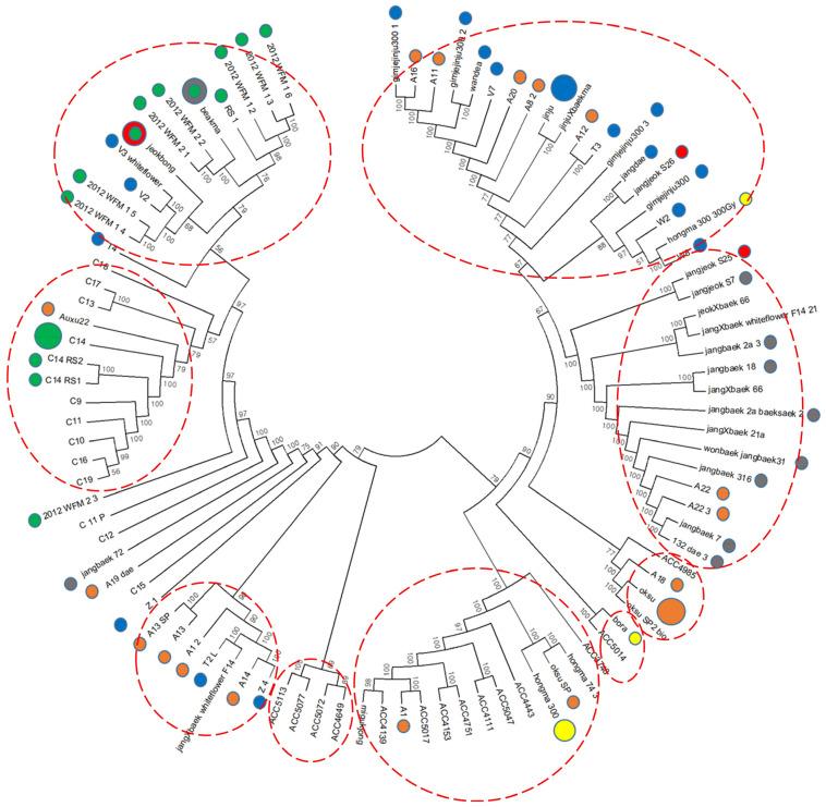 https://cdn.ncbi.nlm.nih.gov/pmc/blobs/c6a7/10819814/b475b235b56e/plants-13-00249-g002.jpg