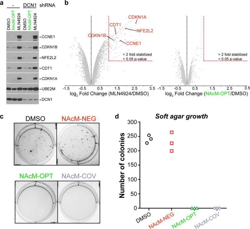 https://cdn.ncbi.nlm.nih.gov/pmc/blobs/c6a8/5577376/1074943bc56b/nihms866876f6.jpg