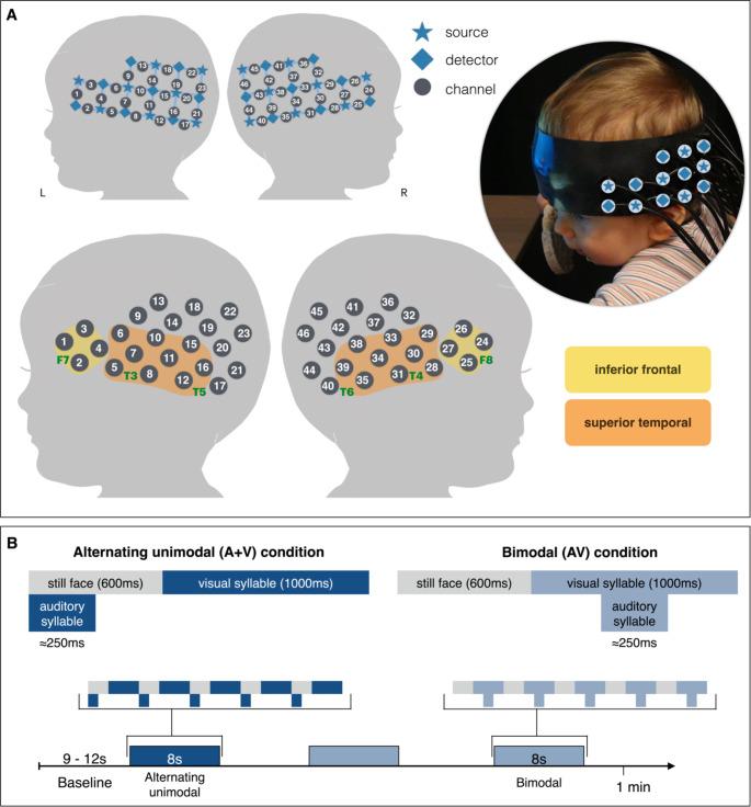 https://cdn.ncbi.nlm.nih.gov/pmc/blobs/c6ae/10293327/65c70051a096/10548_2023_959_Fig1_HTML.jpg