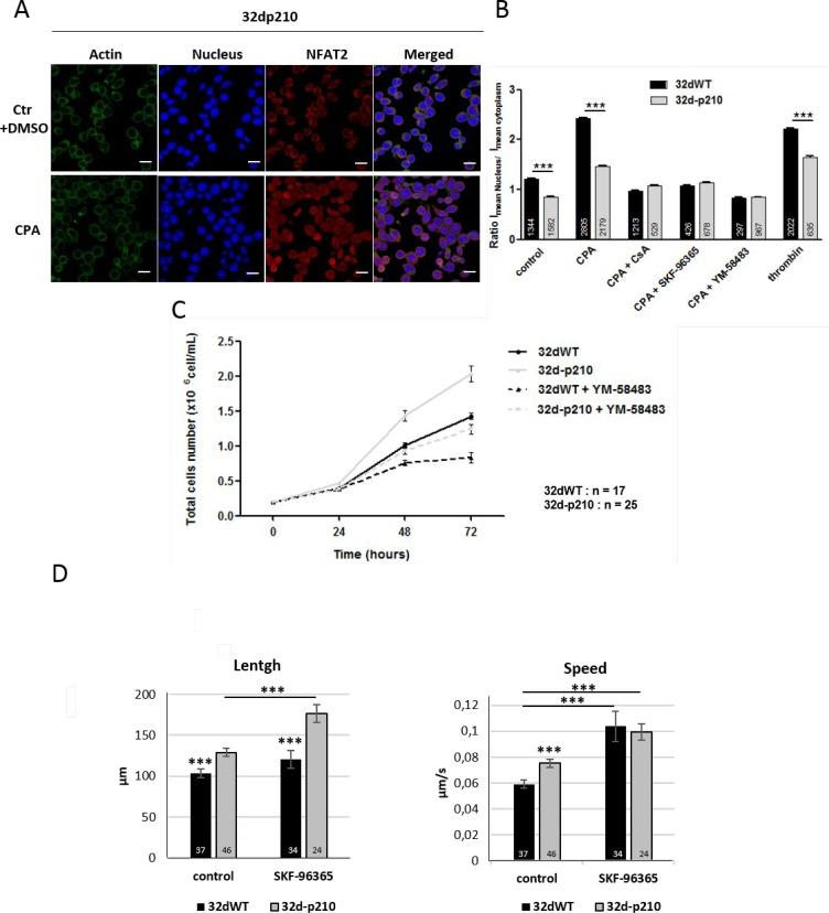 https://cdn.ncbi.nlm.nih.gov/pmc/blobs/c6b0/5995172/8c022efc9b8b/oncotarget-09-26309-g005.jpg